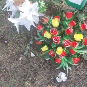 Casas de cartón el emperador de china