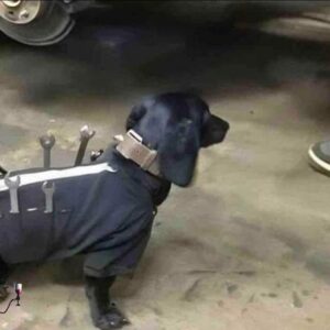 Herramientas automática